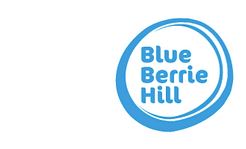 Blue Berrie Hill - Broekhuizen